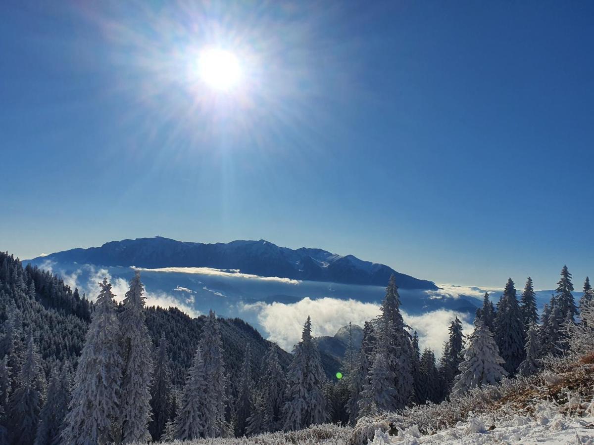 Pensiunea Casa Ober Braşov Buitenkant foto